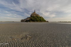 Traversée : Une Journée au Paradis